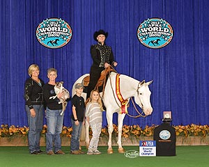 Championship Winning Paint Horses For Sale
