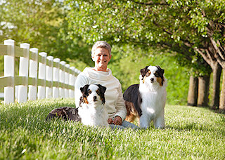 Miniature Australian Shepards For Sale 